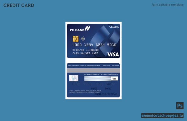Beispielvorschau der Vietnam PG Bank Visa Classic Karte